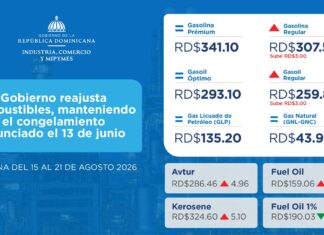 Gobierno reajusta combustibles, manteniendo el congelamiento anunciado el 13 de junio