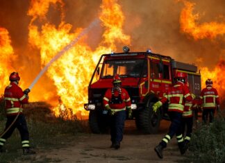 La era de los incendios imposibles: cuando el fuego dejó de ser rural y empezó a tocar la puerta de las ciudades