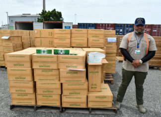 Aduanas, institucionalidad y la visión de Estado contra el comercio ilícito