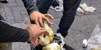 DGA registra la mayor incautación de municiones de los últimos cuatro años