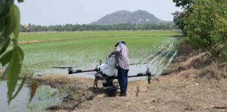 El futuro del campo dominicano se cultiva con conocimiento