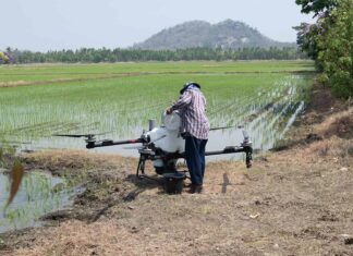 El futuro del campo dominicano se cultiva con conocimiento