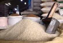 República Dominicana y Estados Unidos abren diálogo sobre acceso al mercado del arroz bajo el DR-Cafta