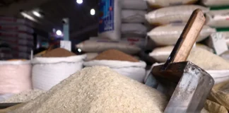 República Dominicana y Estados Unidos abren diálogo sobre acceso al mercado del arroz bajo el DR-Cafta