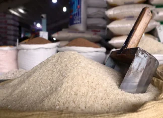 República Dominicana y Estados Unidos abren diálogo sobre acceso al mercado del arroz bajo el DR-Cafta