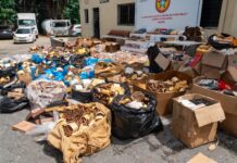 MICM y CECCOM decomisan puros y bebidas por más de RD$40 millones