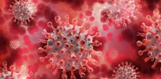 SALUD | COVID-19: convivir con el virus no significa rendirse ante él