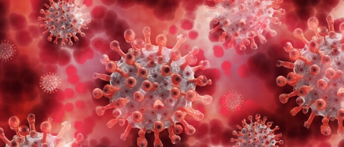 La reinfección por coronavirus COVID 19