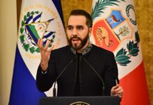 Haití bajo ultimátum: cuatro vidas, dos mil soldados y el delicado equilibrio dominicano
