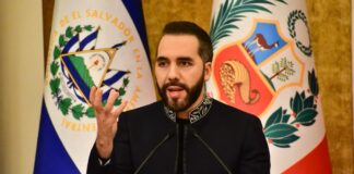 Haití bajo ultimátum: cuatro vidas, dos mil soldados y el delicado equilibrio dominicano